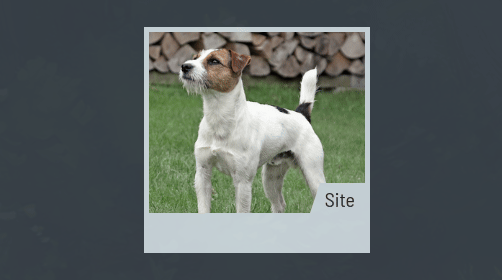 a demonstration of a UI hover interaction: a card element containing an image of a dog bounces up and down along with the image's saturation levels when hovered